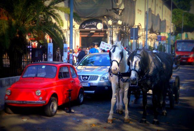 horses cars Messina