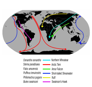 Birds move twice a year. Why shouldn't we?