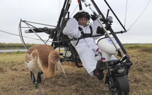 Putin flying with birds