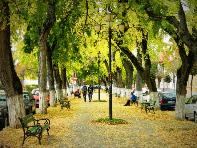 bulevardul cetatii 3