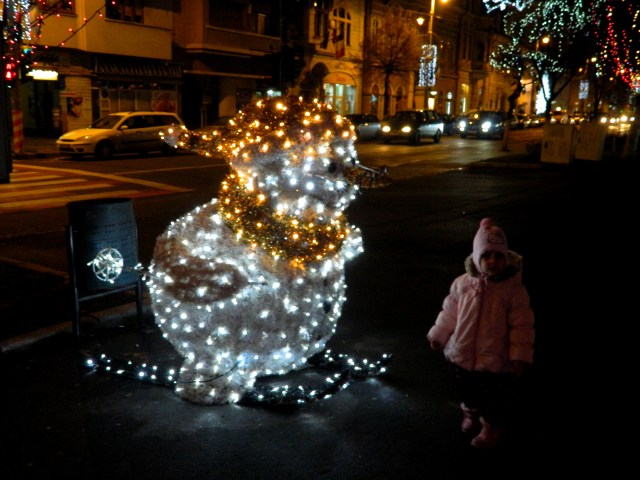 Targu Mures Christmas 5