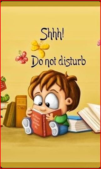 bookworm dont disturb