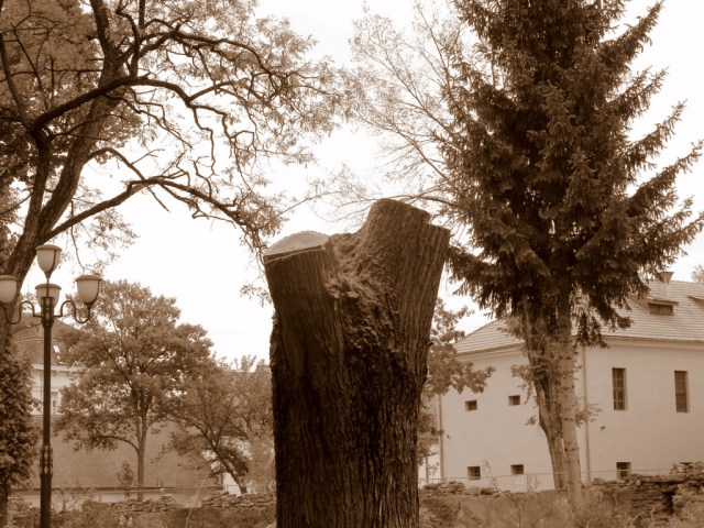 What have I done to you??