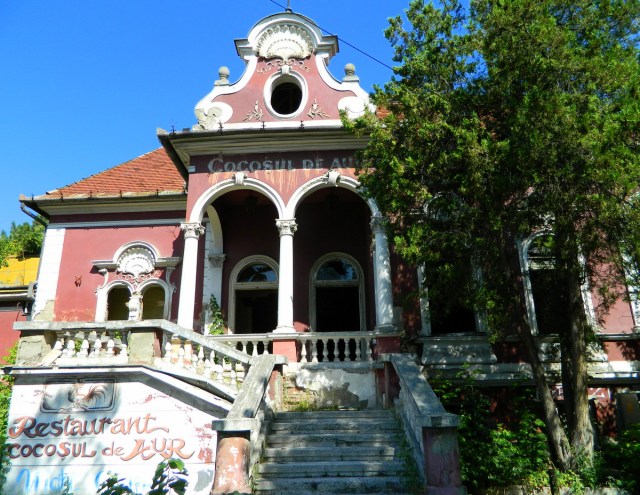 Cocosul restaurant Targu Mures