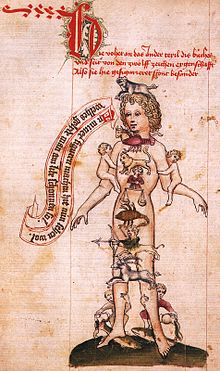 220px-homo_signorum_sbb-pk_1191