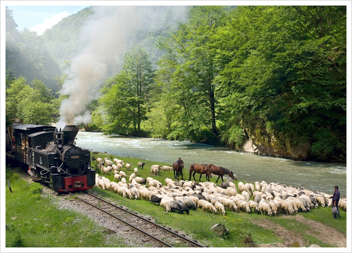 authentic-experiences-in-romania