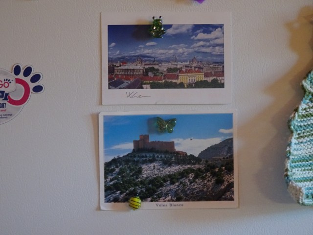 cards fridge Calgary.JPG