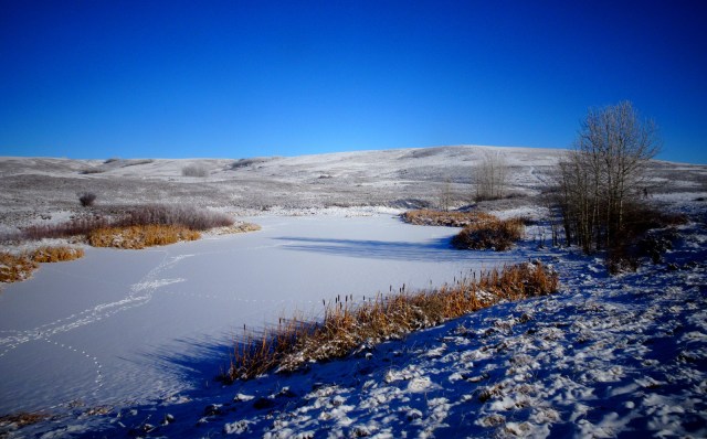 frozen lake.JPG